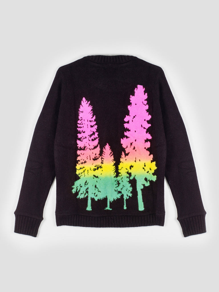 The Elder Statesman Cashmere Sweater with Painted Intarsia in Back